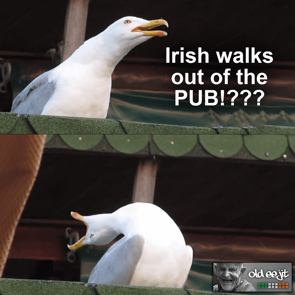 Irish Memes